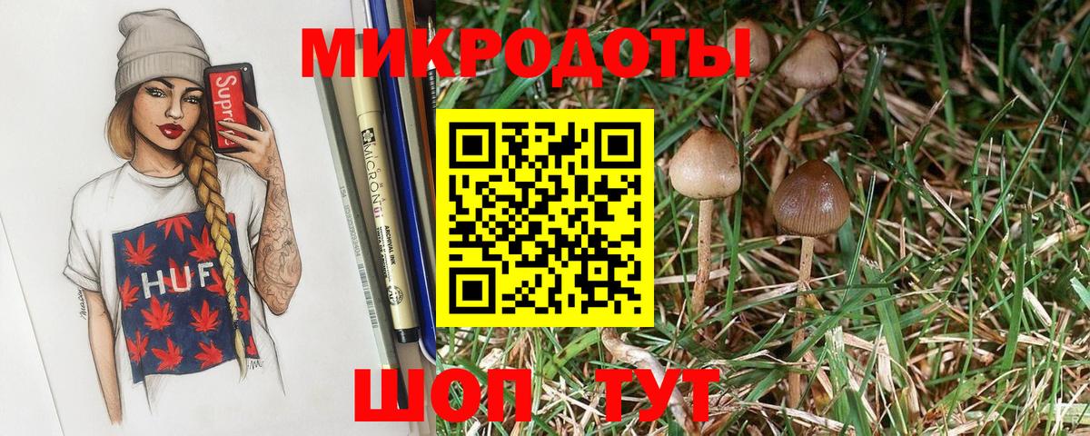 где купить   Галлюциногенные грибы мицелий  Вход с VPN  Сочи  Галлюциногенные грибы MAGIC MUSHROOMS 